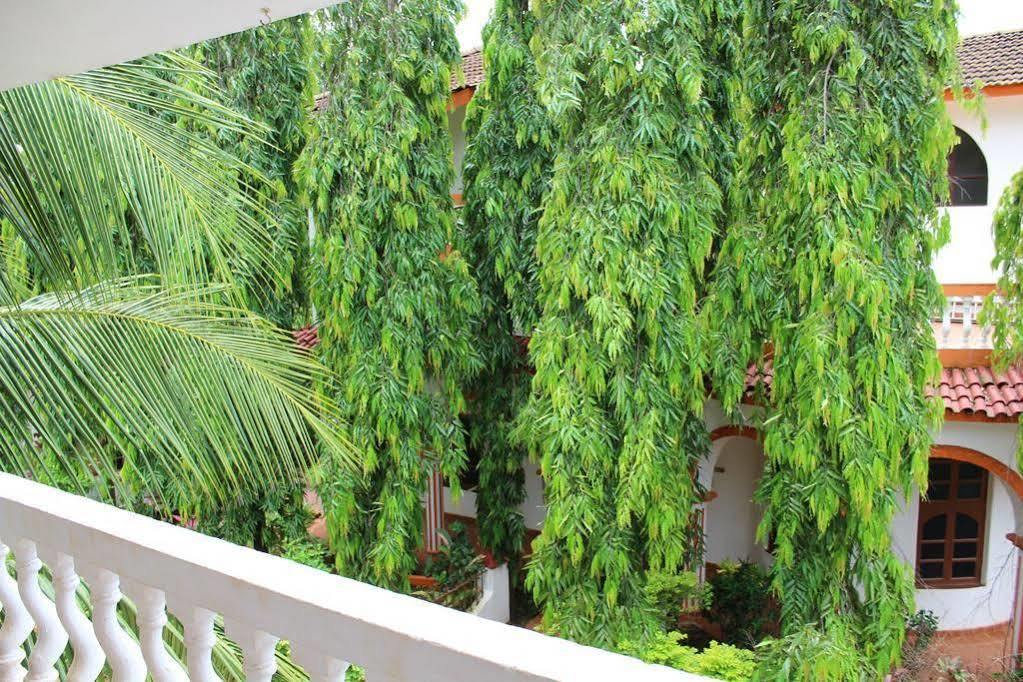 Sugar Plum Macedo Palms Bed & Breakfast Бага Екстериор снимка